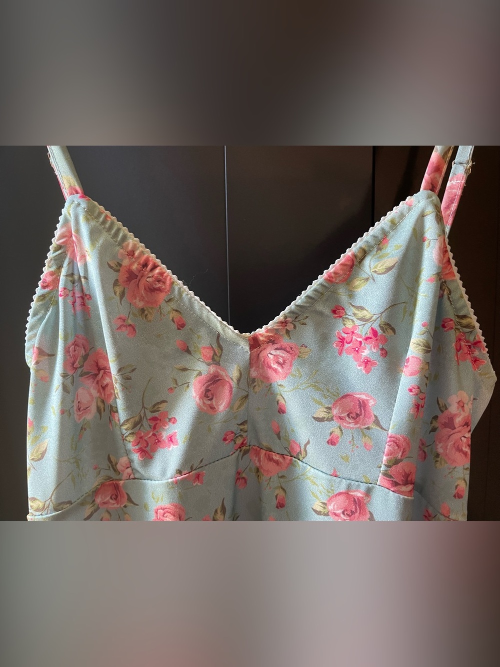 Cottagecore Alessia Zamattio pink & blue 🌹 rose slip dress size XS-SM